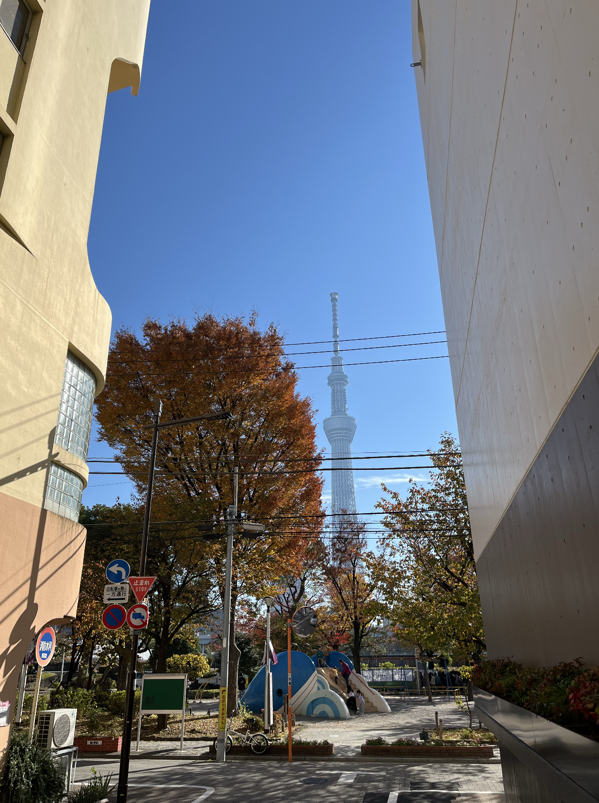 東京スカイツリー
